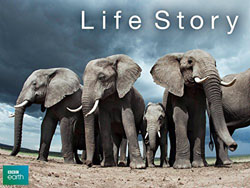 Life Story David Attenborough