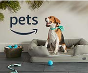 Amazon Pets (dog)